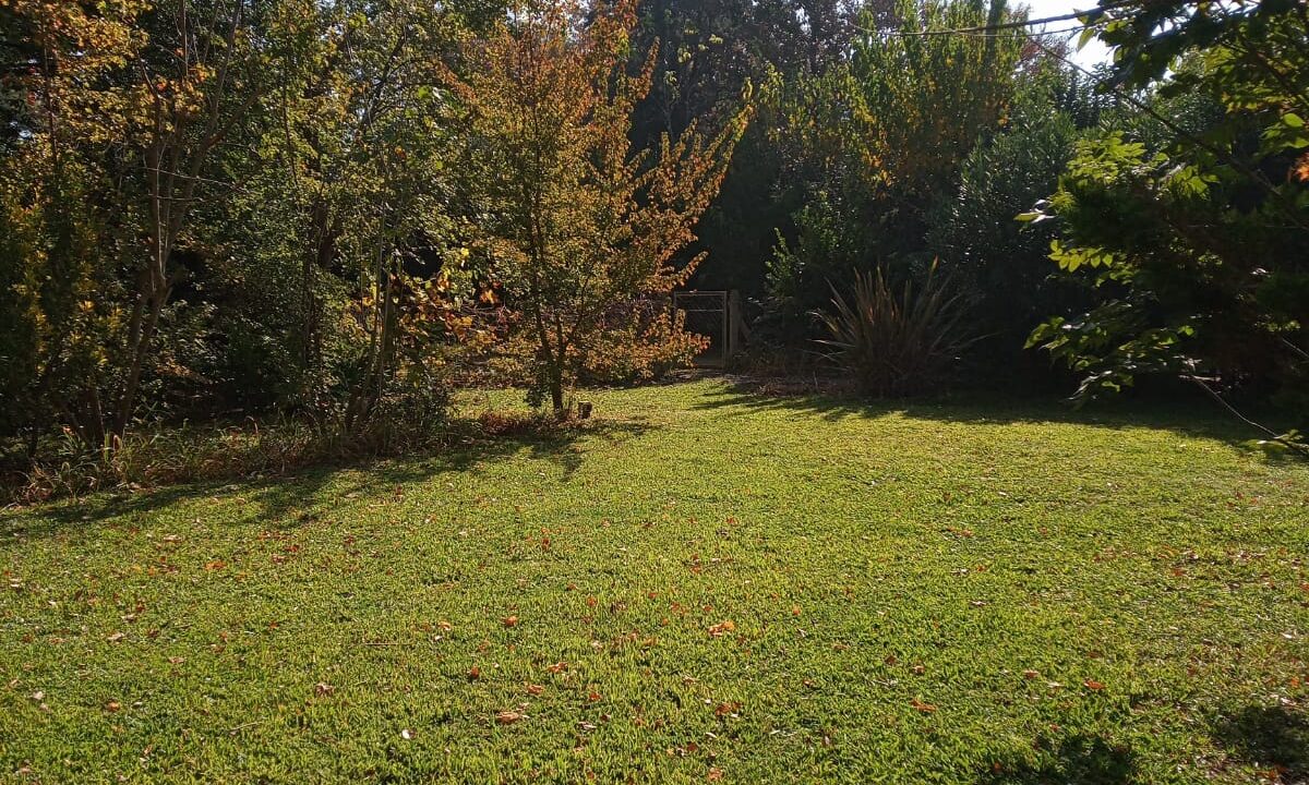 abf29e3a-a365-4400-b09f-9c04d1a23b51